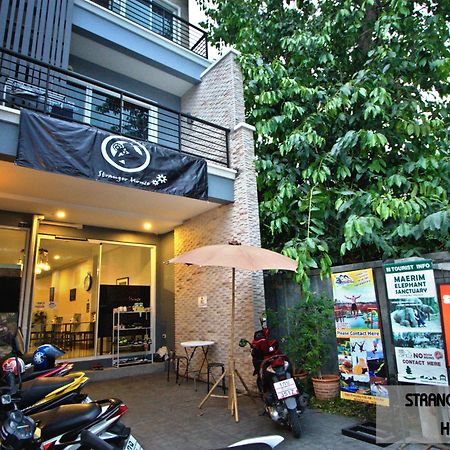 Auberge de jeunesse Stranger House à Chiang Mai Extérieur photo